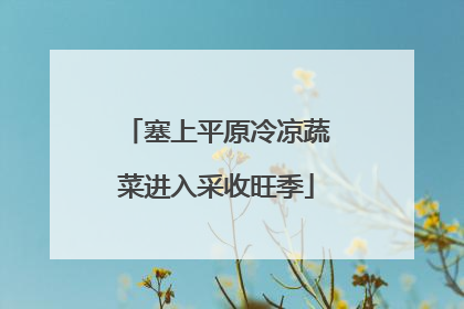 塞上平原冷凉蔬菜进入采收旺季
