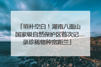 填补空白！湖南八面山国家级自然保护区首次记录珍稀物种宽距兰