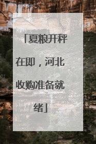 夏粮开秤在即，河北收购准备就绪