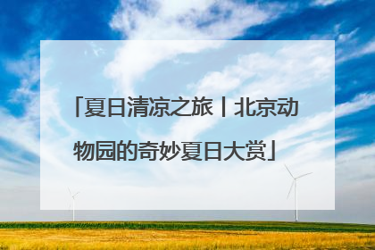 夏日清凉之旅丨北京动物园的奇妙夏日大赏