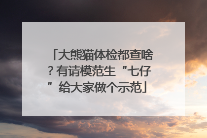 大熊猫体检都查啥？有请模范生“七仔”给大家做个示范