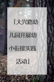 大兴路幼儿园开展幼小衔接实践活动