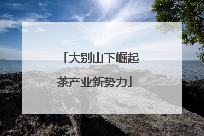 大别山下崛起茶产业新势力