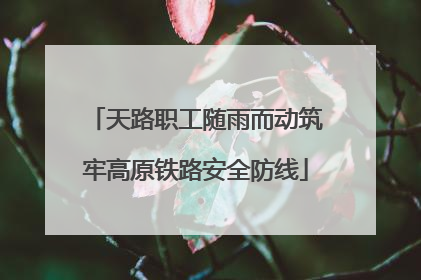 天路职工随雨而动筑牢高原铁路安全防线