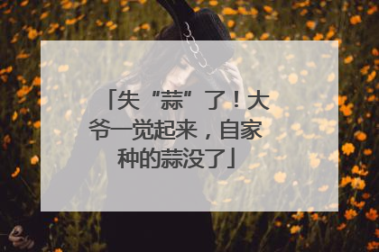 失“蒜”了！大爷一觉起来，自家种的蒜没了