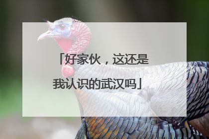 好家伙，这还是我认识的武汉吗