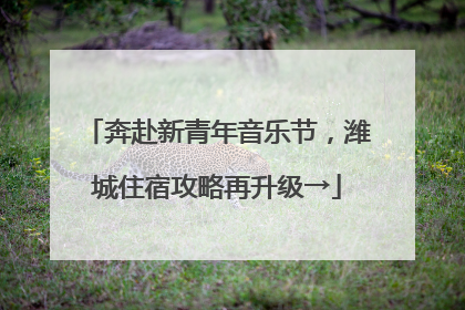奔赴新青年音乐节，潍城住宿攻略再升级→