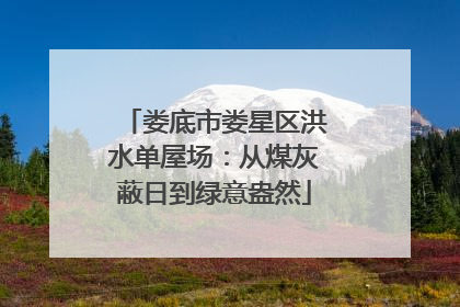 娄底市娄星区洪水单屋场：从煤灰蔽日到绿意盎然