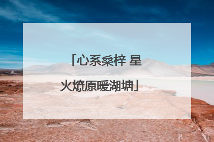 心系桑梓 星火燎原暖湖塘