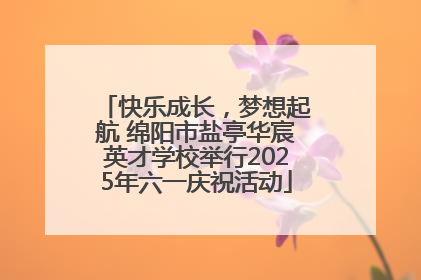 快乐成长，梦想起航 绵阳市盐亭华宸英才学校举行2025年六一庆祝活动