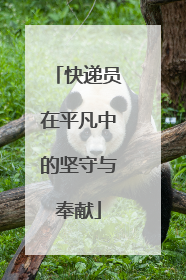 快递员在平凡中的坚守与奉献