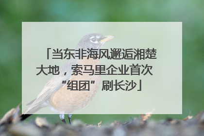 当东非海风邂逅湘楚大地，索马里企业首次“组团”刷长沙