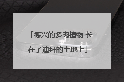 德兴的多肉植物 长在了迪拜的土地上