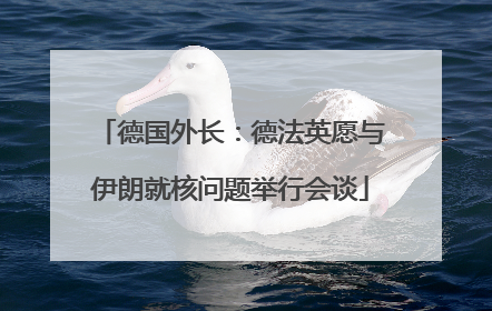 德国外长：德法英愿与伊朗就核问题举行会谈