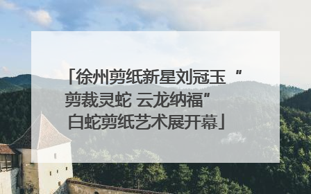 徐州剪纸新星刘冠玉“剪裁灵蛇 云龙纳福” 白蛇剪纸艺术展开幕