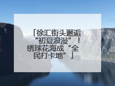 徐汇街头邂逅“初夏浪漫”！绣球花海成“全民打卡地”