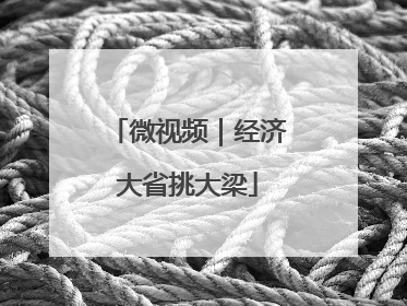 微视频｜经济大省挑大梁