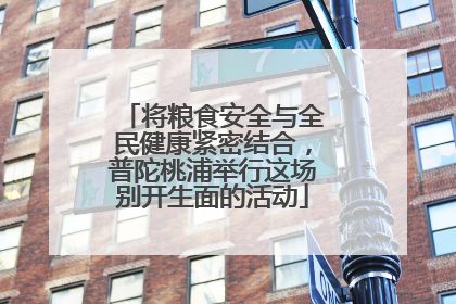 将粮食安全与全民健康紧密结合，普陀桃浦举行这场别开生面的活动