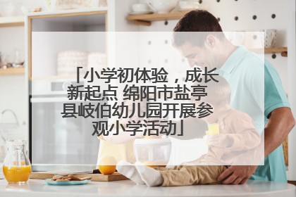 小学初体验，成长新起点 绵阳市盐亭县岐伯幼儿园开展参观小学活动