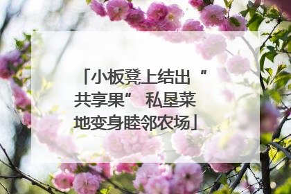 小板凳上结出“共享果” 私垦菜地变身睦邻农场
