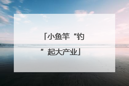小鱼竿“钓”起大产业