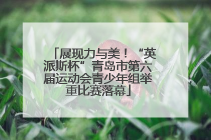 展现力与美！“英派斯杯”青岛市第六届运动会青少年组举重比赛落幕