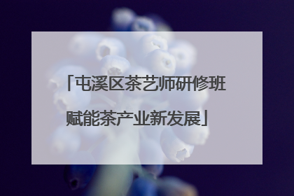屯溪区茶艺师研修班赋能茶产业新发展