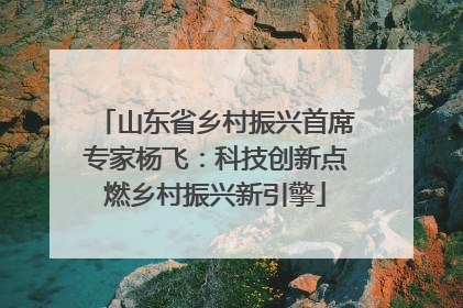 山东省乡村振兴首席专家杨飞：科技创新点燃乡村振兴新引擎