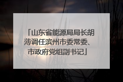 山东省能源局局长胡薄调任滨州市委常委、市政府党组副书记