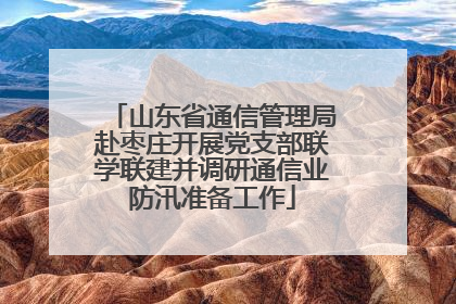山东省通信管理局赴枣庄开展党支部联学联建并调研通信业防汛准备工作