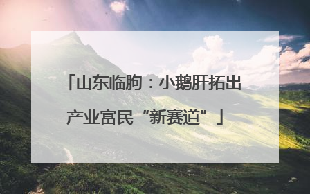 山东临朐：小鹅肝拓出产业富民“新赛道”