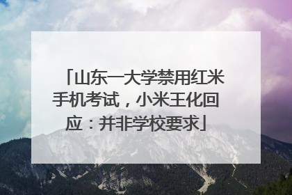 山东一大学禁用红米手机考试，小米王化回应：并非学校要求