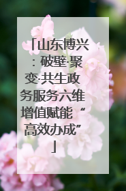 山东博兴：破壁·聚变·共生政务服务六维增值赋能“高效办成”