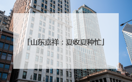 山东嘉祥：夏收夏种忙