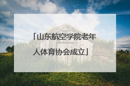 山东航空学院老年人体育协会成立