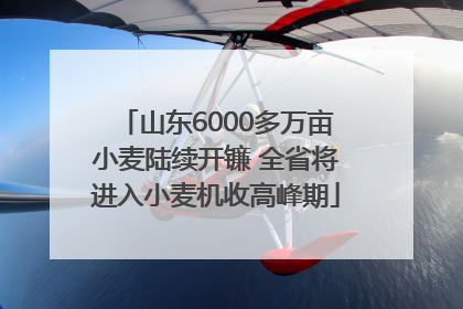 山东6000多万亩小麦陆续开镰 全省将进入小麦机收高峰期