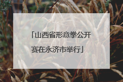 山西省形意拳公开赛在永济市举行