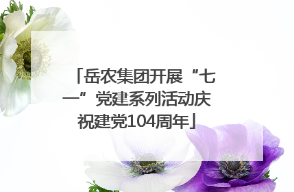 岳农集团开展“七一”党建系列活动庆祝建党104周年