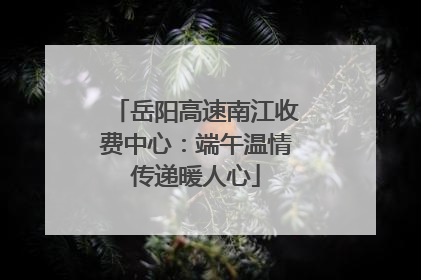 岳阳高速南江收费中心：端午温情传递暖人心