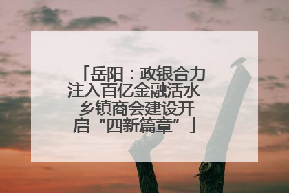 岳阳：政银合力注入百亿金融活水 乡镇商会建设开启“四新篇章”