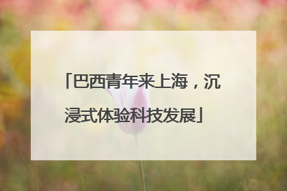 巴西青年来上海，沉浸式体验科技发展