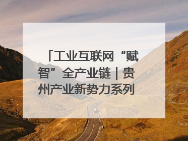 工业互联网“赋智”全产业链｜贵州产业新势力系列报道之八