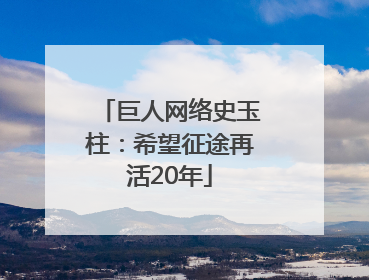 巨人网络史玉柱：希望征途再活20年