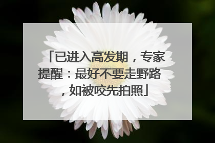已进入高发期，专家提醒：最好不要走野路，如被咬先拍照