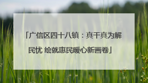广信区四十八镇：真干真为解民忧 绘就惠民暖心新画卷