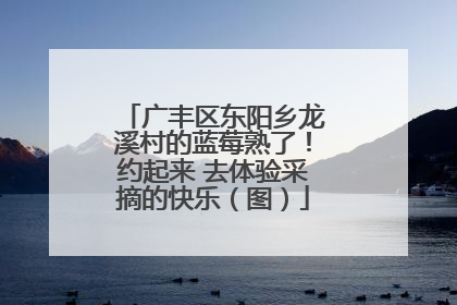 广丰区东阳乡龙溪村的蓝莓熟了！约起来 去体验采摘的快乐（图）