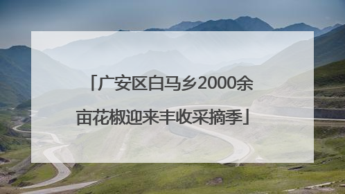 广安区白马乡2000余亩花椒迎来丰收采摘季
