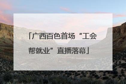 广西百色首场“工会帮就业”直播落幕