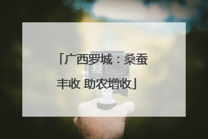 广西罗城：桑蚕丰收 助农增收