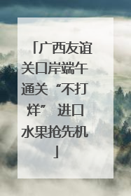 广西友谊关口岸端午通关“不打烊” 进口水果抢先机